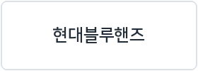 현대자동차블루핸즈